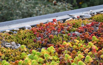 the cost of Obthorpe Lodge green roof installation