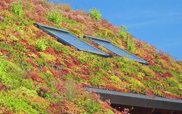 Obthorpe Lodge living roof systems