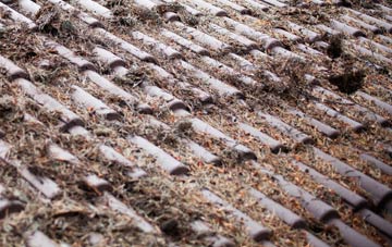 Obthorpe Lodge roof cleaning companies