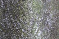 Obthorpe Lodge fibreglass roof work